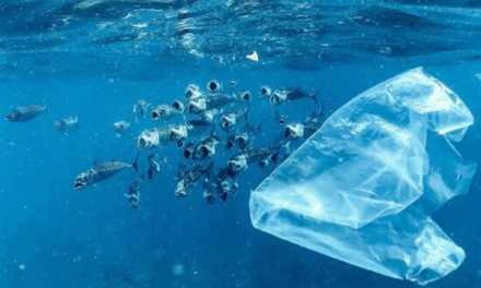 Des chercheurs de Georgia Tech ont créé un matériau inspiré des coquillages pour aider à améliorer le processus de recyclage des plastiques