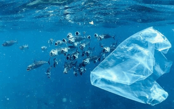 Des chercheurs de Georgia Tech ont créé un matériau inspiré des coquillages pour aider à améliorer le processus de recyclage des plastiques