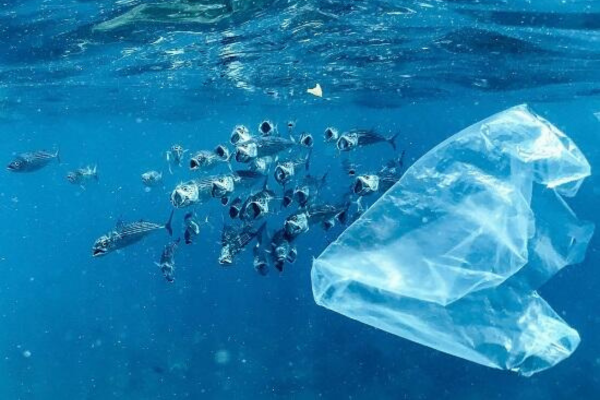 Des chercheurs de Georgia Tech ont créé un matériau inspiré des coquillages pour aider à améliorer le processus de recyclage des plastiques