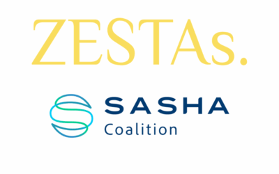 La coalition ZESTAs et SASHA s’unissent pour accélérer les technologies maritimes à zéro émission
