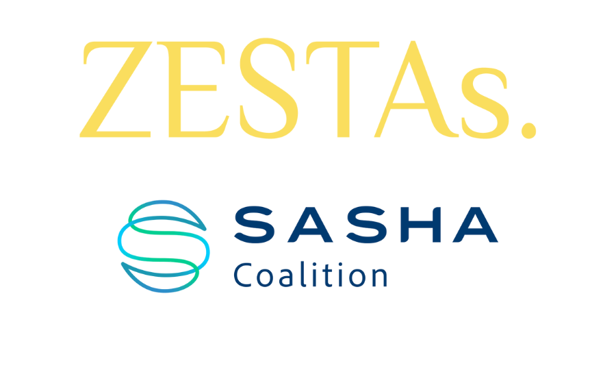La coalition ZESTAs et SASHA s’unissent pour accélérer les technologies maritimes à zéro émission