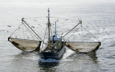 L’UE investit 116 millions d’euros dans 13 projets visant à restaurer les océans et les eaux