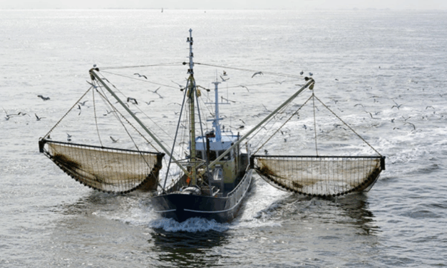 L’UE investit 116 millions d’euros dans 13 projets visant à restaurer les océans et les eaux