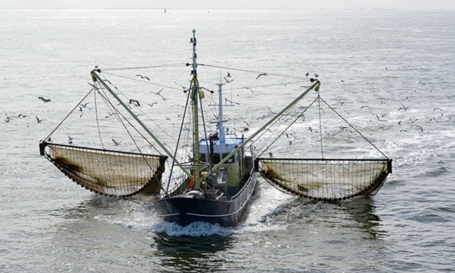 L’UE investit 116 millions d’euros dans 13 projets visant à restaurer les océans et les eaux