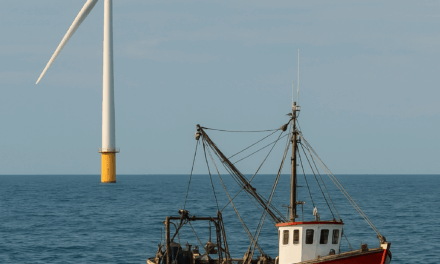 La taxe éolienne rapportera 12 millions d’euros aux pêcheurs en 2026 et 2027