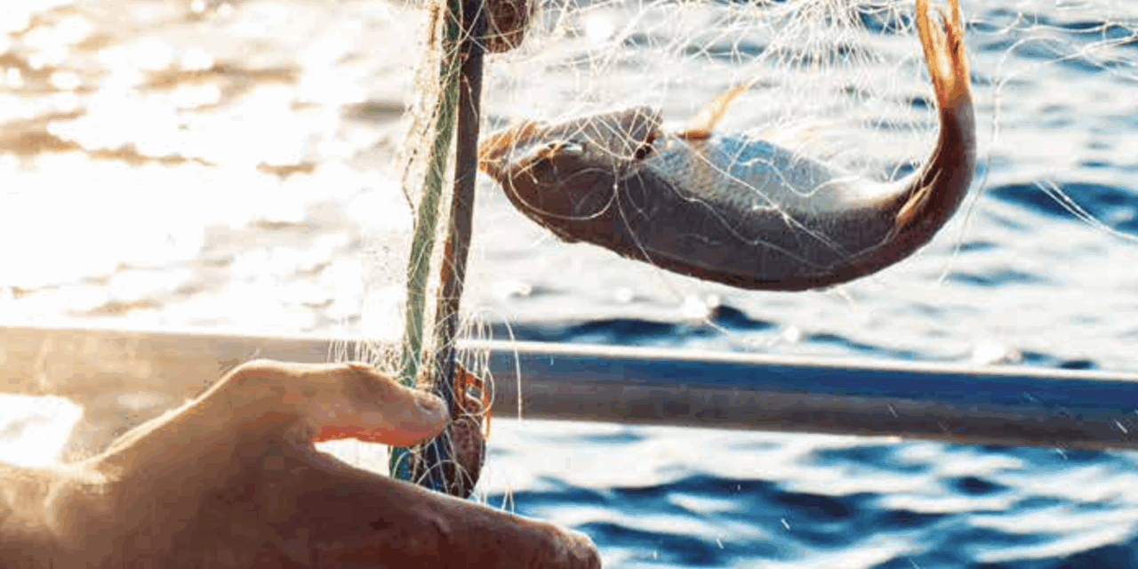 Assises de la pêche : présentation du Livre blanc des Régions sur la pêche – 1