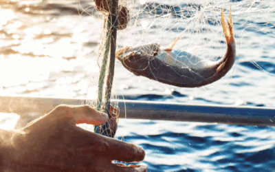 Assises de la pêche : présentation du Livre blanc des Régions sur la pêche – 1