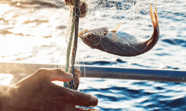 Assises de la pêche : présentation du Livre blanc des Régions sur la pêche – 1