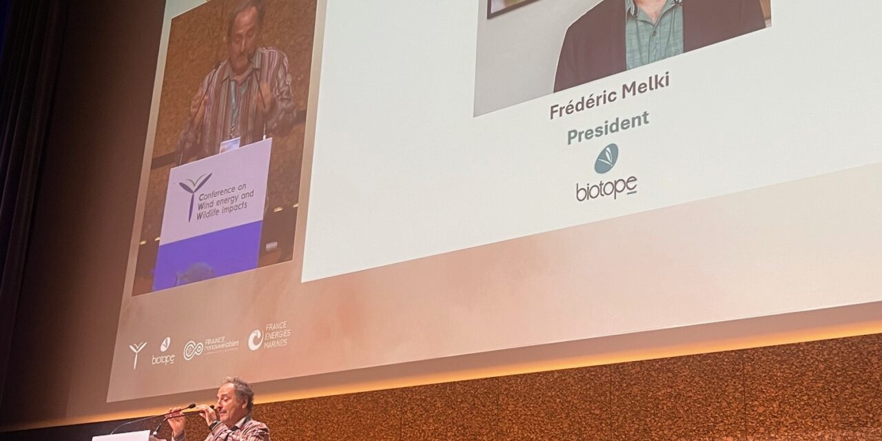 La bioversité c&rsquo;est l&rsquo;avenir, le changement climatique c&rsquo;est maintenant, l&rsquo;éolien en mer c&rsquo;est une spécificité