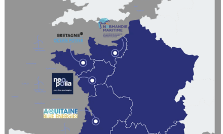 France Offshore renewables analyse l’absence de candidats pour l’AO7 Oléron