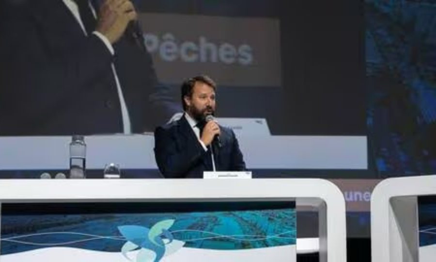 Livre blanc des Régions sur la pêche