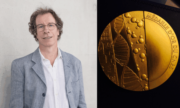 Entre mathématiques et informatique, Stéphane Mallat médaillé d’or 2025 du CNRS