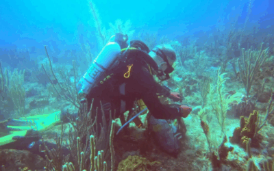 Les scientifiques d’ATLASea ont réalisé le génome d’une 100e espèce