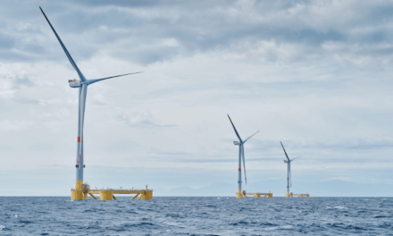EFGL en Occitanie communique ses premiers résultats sur l’intégration de l’éolien flottant au sein des écosystèmes marins – 1