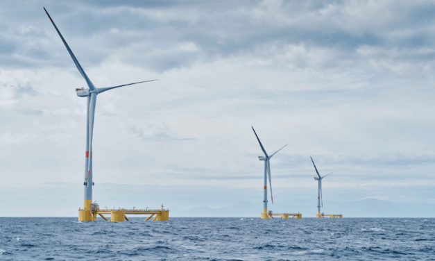 EFGL en Occitanie communique ses premiers résultats sur l’intégration de l’éolien flottant au sein des écosystèmes marins – 1