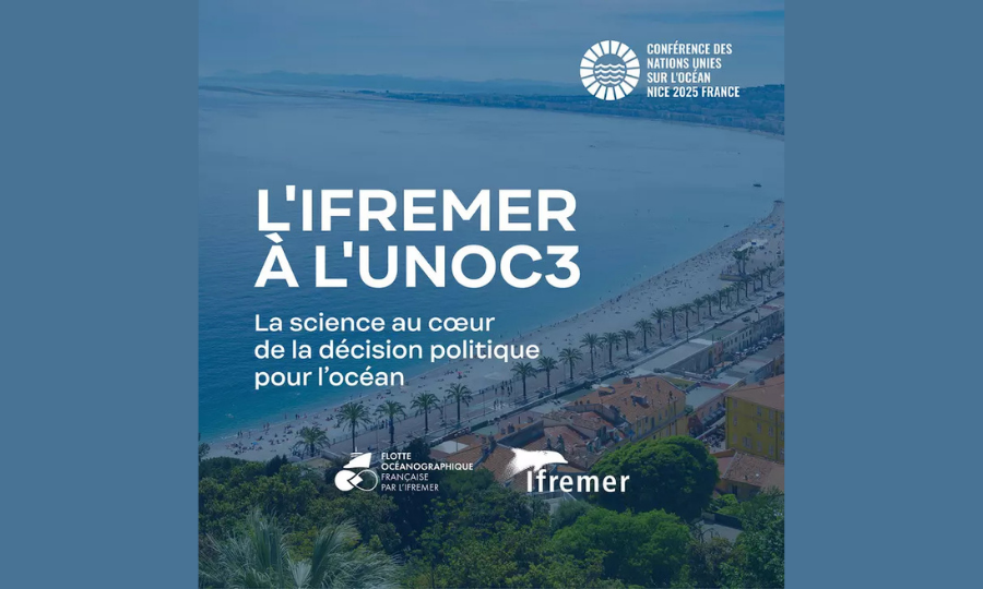 L’Ifremer à l’UNOC3 : la science au cœur de la décision politique pour l’Océan