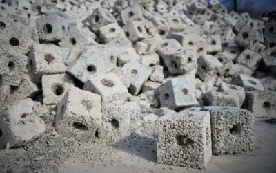 Une innovation environnementale pour le parc éolien offshore de Rampion