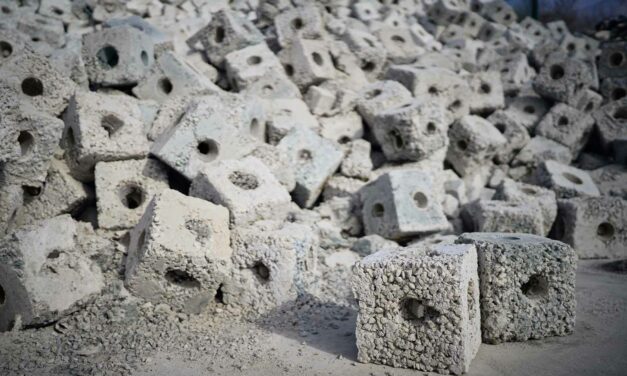 Une innovation environnementale pour le parc éolien offshore de Rampion