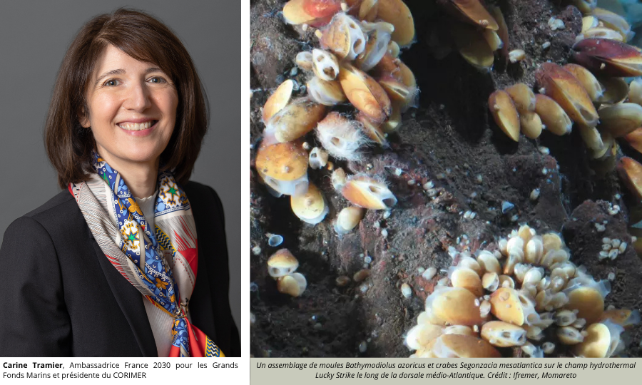 Carine Tramier, Présidente du Corimer : Innover, c’est s’adapter et transformer la contrainte en opportunité ! Les Grands fonds marins – 1