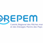 Taxe éolienne : le COREPEM dévoile les premiers projets à en bénéficier