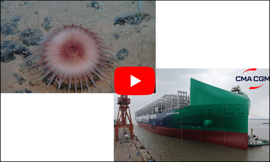 Avez-vous peut-être manqué les vidéos de cette semaine ?