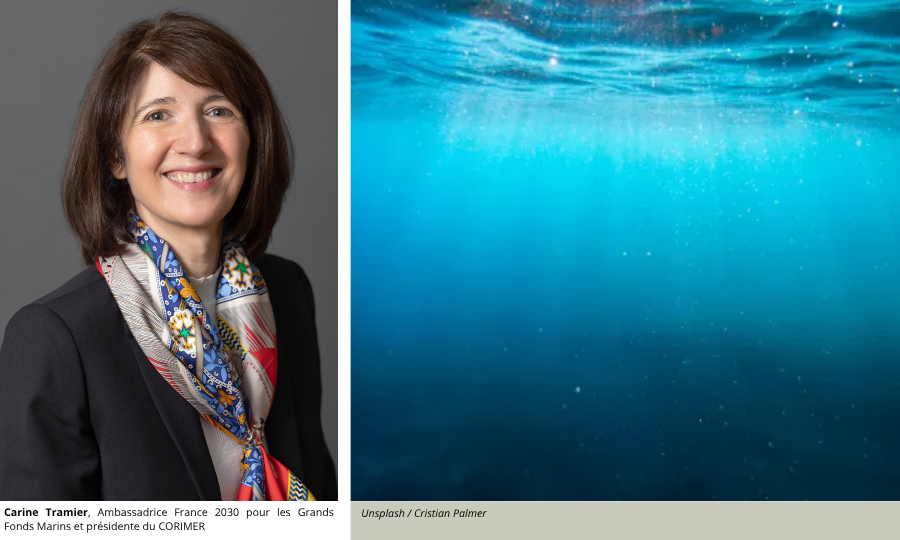 Carine Tramier, Présidente du Corimer : « Innover, c’est s’adapter et transformer la contrainte en opportunité ! » Les Grands fonds marins – 1