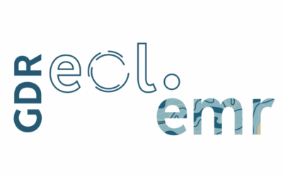 L’université Le Havre Normandie recrute 3 Enseignants Chercheurs contractuels