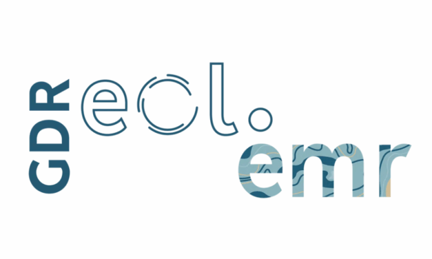 L’université Le Havre Normandie recrute 3 Enseignants Chercheurs contractuels