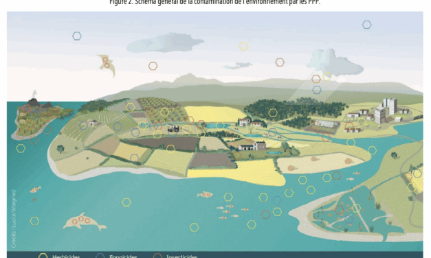 Biocontrôle : le Parlement prépare des alternatives aux pesticides, quand la Commission prépare leur autorisation éternelle