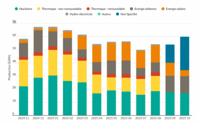 COP30 : Signature d’un accord de coopération belgo-brésilien en matière d’hydrogène vert et l’appel « Mutiraõ »