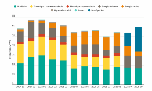 COP30 : Signature d’un accord de coopération belgo-brésilien en matière d’hydrogène vert et l’appel « Mutiraõ »