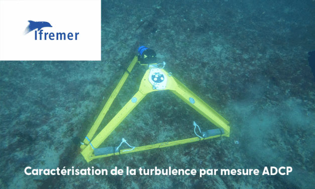 Projet FloWatt : Ifremer offre un stage au sein du laboratoire LHyMar