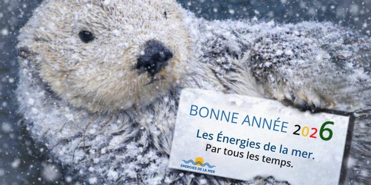 Quel article, interview ou reportage avez-vous préféré en 2025 ? A vos votes !