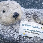 Quel article, interview ou reportage avez-vous préféré en 2025 ? A vos votes !