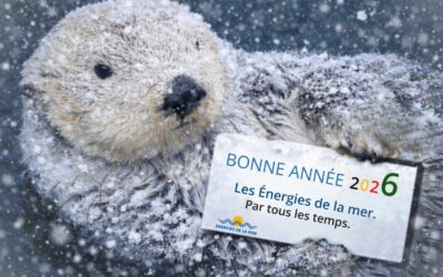 Quel article, interview ou reportage avez-vous préféré en 2025 ? A vos votes !