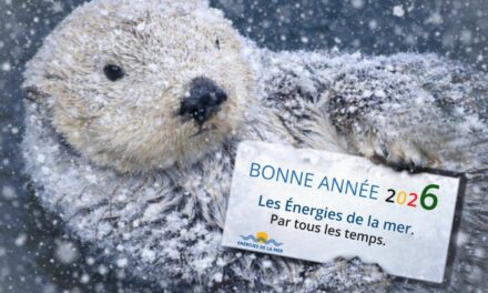 Quel article, interview ou reportage avez-vous préféré en 2025 ? A vos votes !