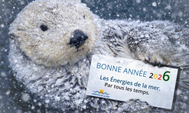 Quel article, interview ou reportage avez-vous préféré en 2025 ? A vos votes !