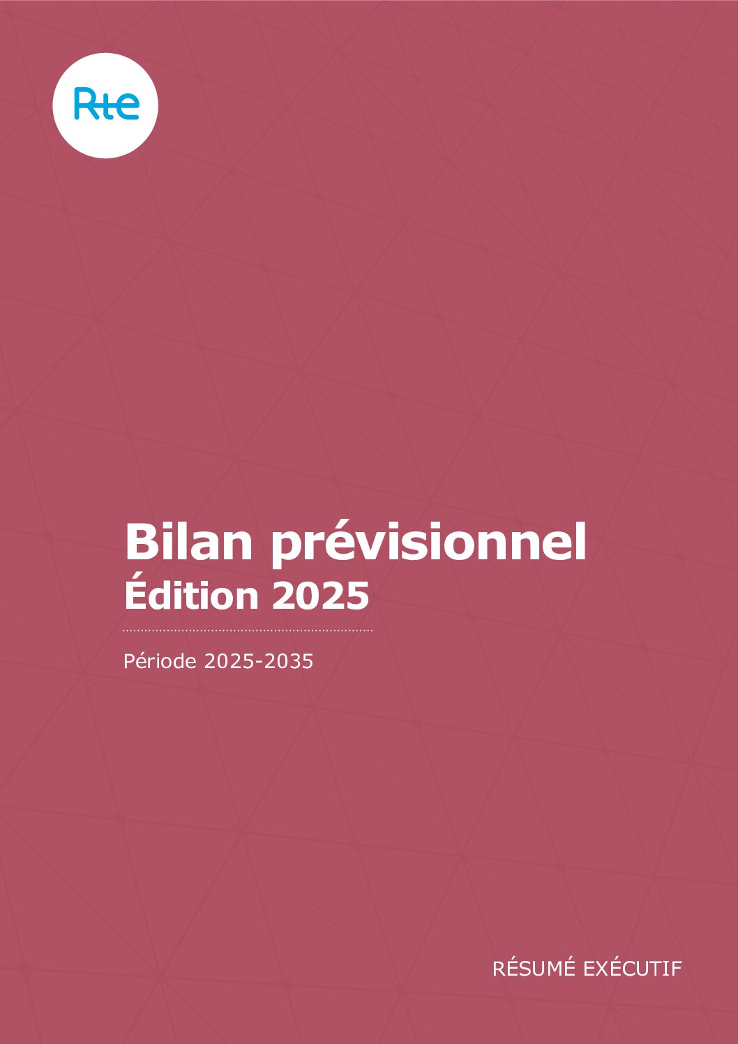 Bilan RTE – 4 : Les douze chapitres du bilan prévisionnel 2025 – 2035