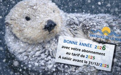 Achetez aujourd&rsquo;hui votre abonnement pour l&rsquo;année 2026 pour profiter du tarif 2025