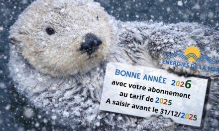 Plus que ce jour pour profiter du tarif d&rsquo;abonnement 2025 pour l&rsquo;année 2026