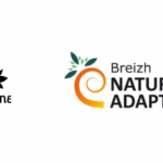 Breizh Natur&rsquo;Adapt : Les Réserves naturelles bretonnes se préparent au changement climatique