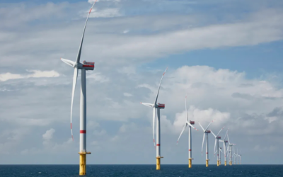 L&rsquo;UMR AMURE (UBO) et EnBW Valeco propose un stage de six mois sur les co-usages avec l&rsquo;aquaculture