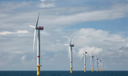 L&rsquo;UMR AMURE (UBO) et EnBW Valeco propose un stage de six mois sur les co-usages avec l&rsquo;aquaculture