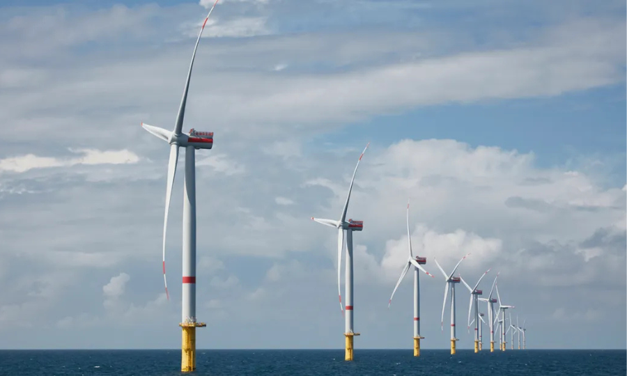 L&rsquo;UMR AMURE (UBO) et EnBW Valeco propose un stage de six mois sur les co-usages avec l&rsquo;aquaculture