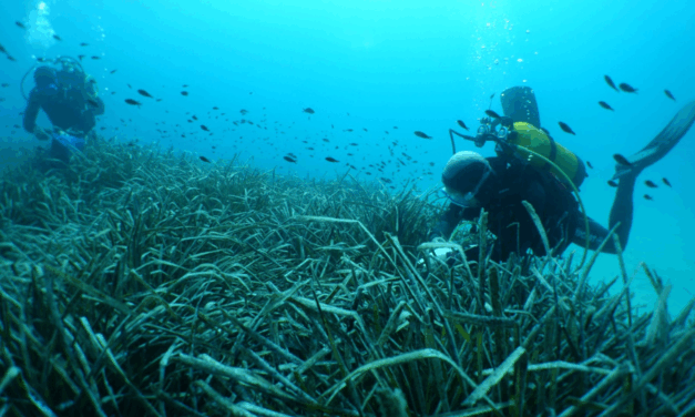 Setec énergie environnement et Encis environnement s’associent pour créer un centre unique d’études et d’ingénierie en environnement en France