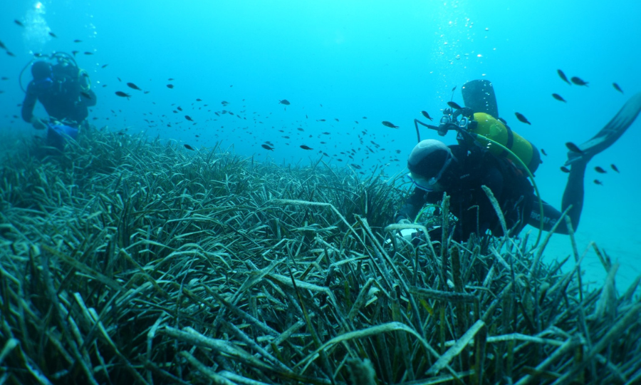 Setec énergie environnement et Encis environnement s’associent pour créer un centre unique d’études et d’ingénierie en environnement en France