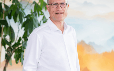 Meteodyn délivre des données de vent haute résolution en ligne grâce au lancement de son Wind Data Portal