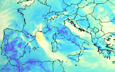 Meteodyn délivre des données de vent haute résolution en ligne grâce au lancement de son Wind Data Portal