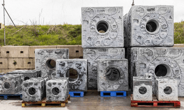 RWE et TotalEnergies ont signé un accord avec ARC marine pour 66 Reef cubes® intégrant des éléments naturels