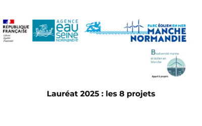 Lauréat 2025 : huit projets de recherche lauréats dans le cadre du premier appel à projets « Biodiversité marine et éolien en Manche